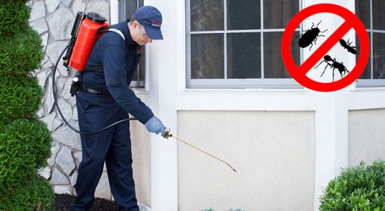 Kadirli Hamam Böceği İlaçlama böcek ilaçlama ve haşere kontrolü — ilaclama-tr.com